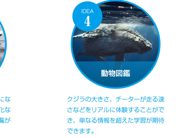 動物図鑑　クジラの大きさ、チーターが走る速さなどをリアルに体験することができ、単なる情報を超えた学習が期待できます。